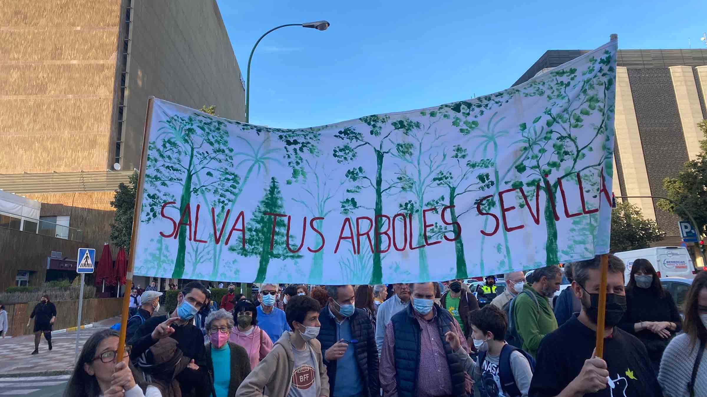 Piden al Ministerio de Defensa que actúe contra el «arboricidio» en Sevilla