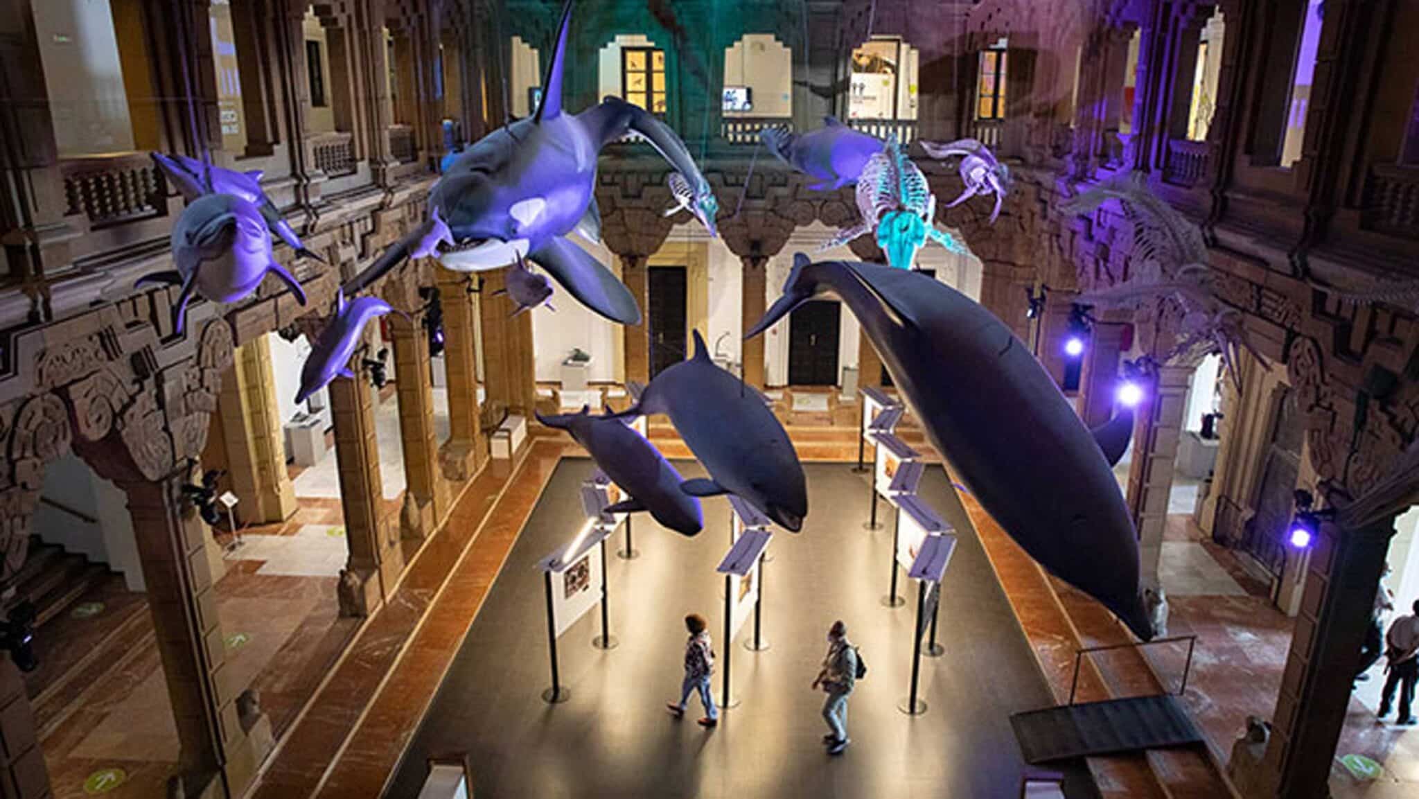 Seville's Science Museum will be open for free during White Night